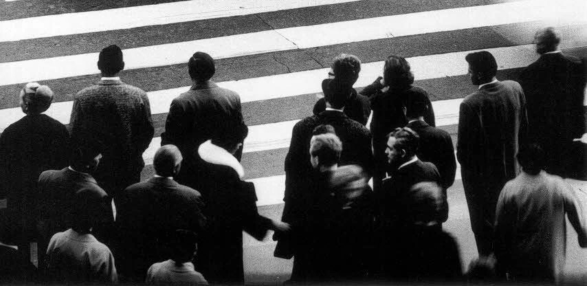 Estragos de la política