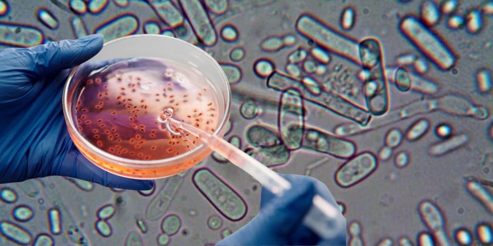 Dignidad y derecho genético en el&nbsp;Perú