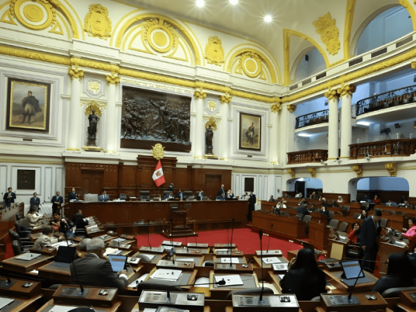 ¿Realmente necesitamos más&nbsp;democracia?